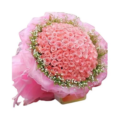 100 Pink Roses Wrapped