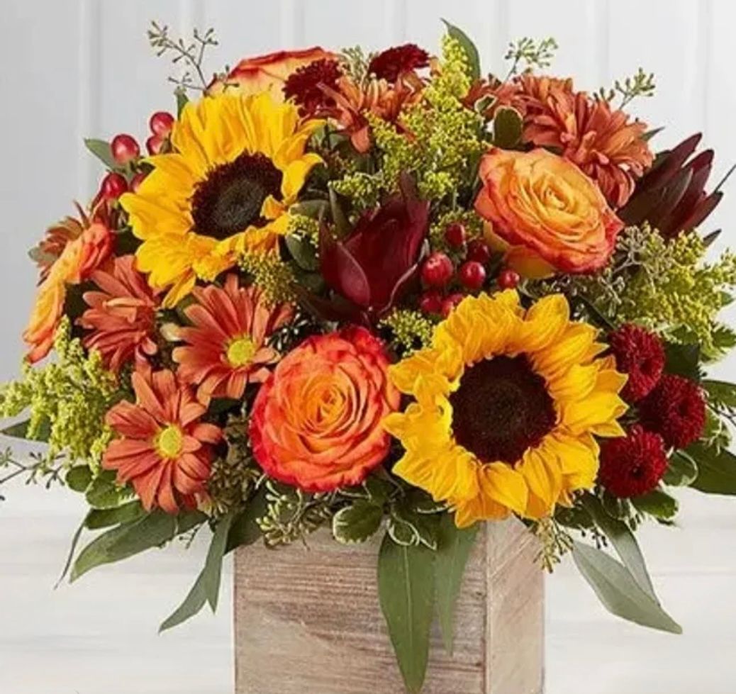Farmers Sun Fall Box
