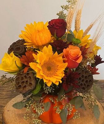 Falling for Fall
