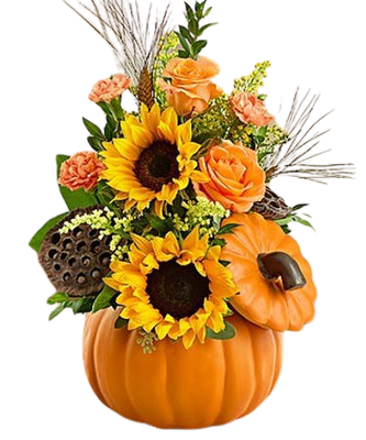 fall flowers