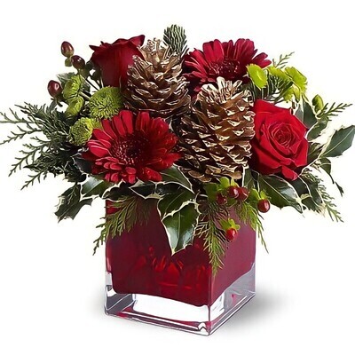 christmas flowers