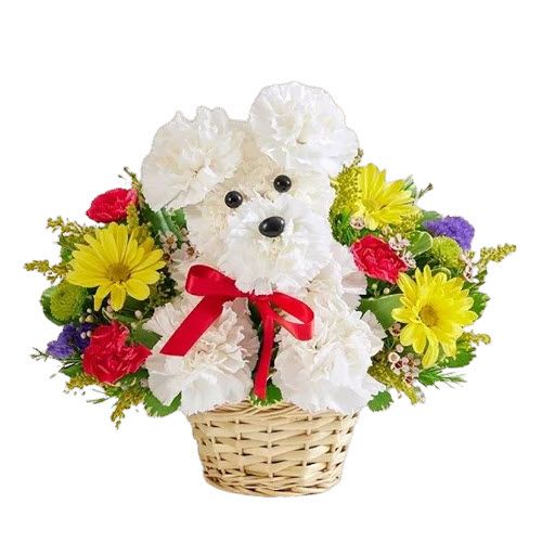 puppy flowers