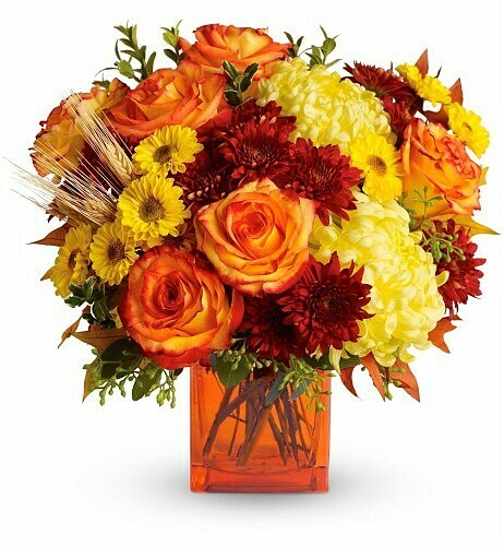 Autumn Radiance