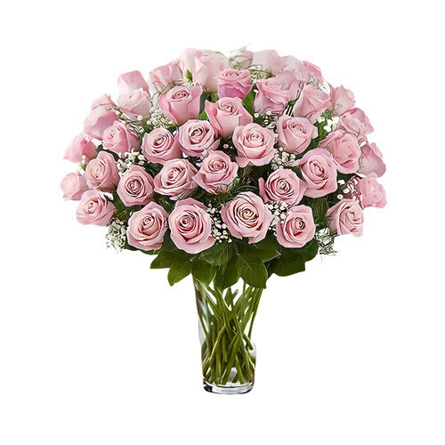Sweet Abundance roses fort worth
