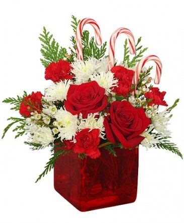 christmas flowers