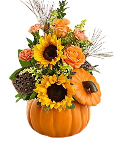 Fall Pumpkin Dish