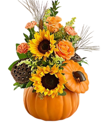 Fall Pumpkin Dish