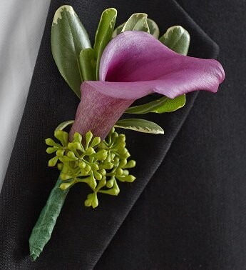 purple calla lily bout