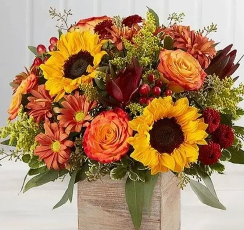 Farmers Sun Fall Box farmers sun fall box
