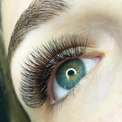 Lash Care and Accessories
