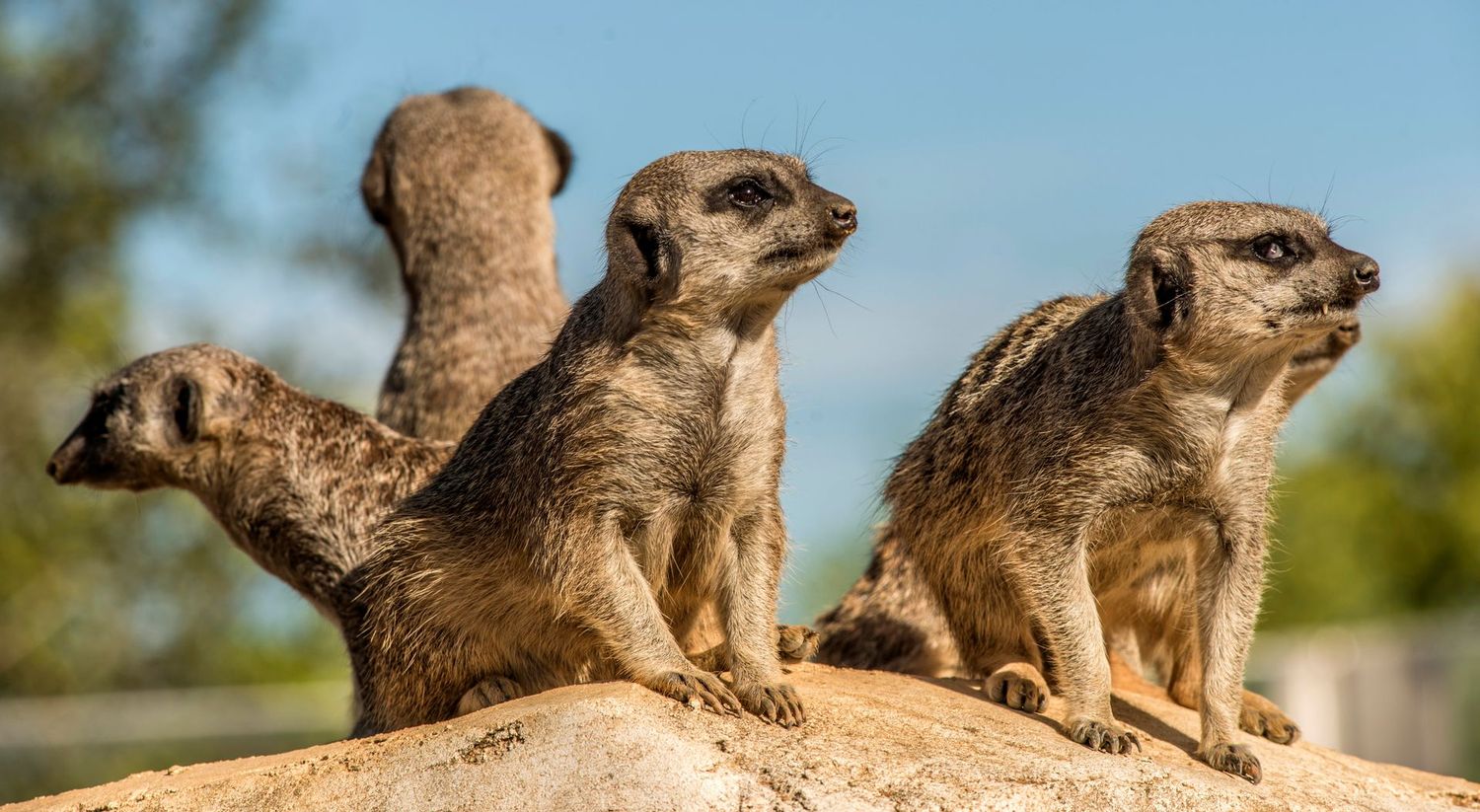 Zoo de Beauval