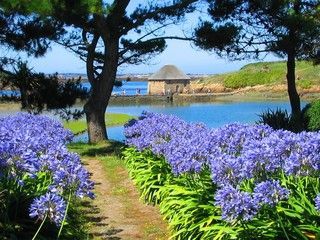 Ile de Bréhat