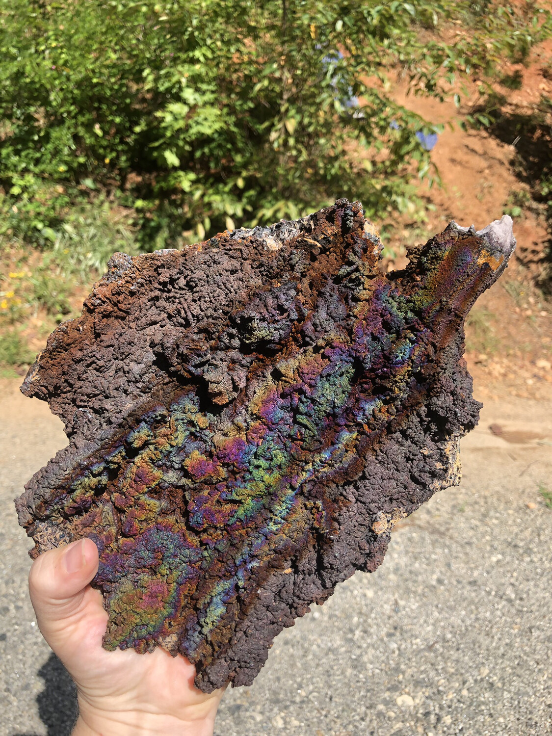 Graves Mountain Large Quartz Plate With Iridescent Hematite, Rutile, And Kyanite