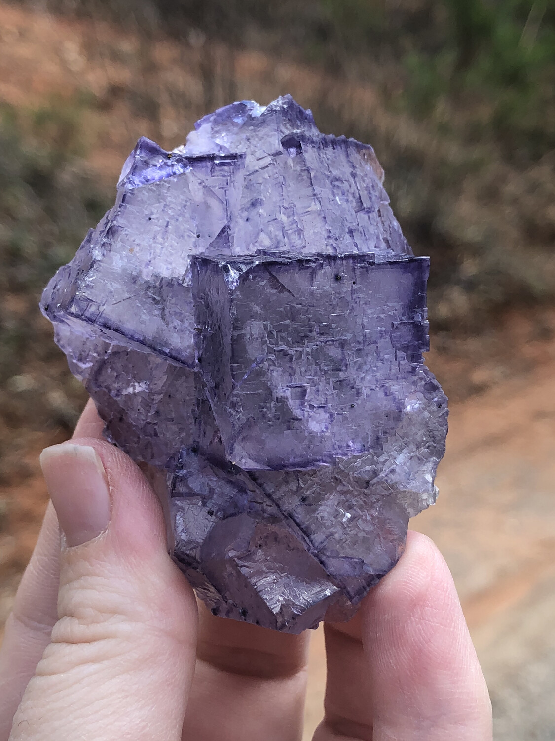 Fluorite With Sphalerite And Pyrite 