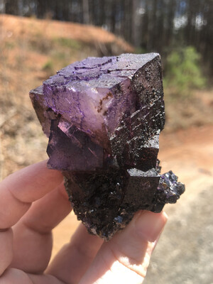 Denton mine Fluorite With Sphalerite