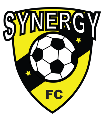 Synergy Soccer