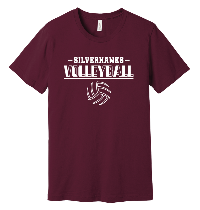 LPE - Volleyball 2024