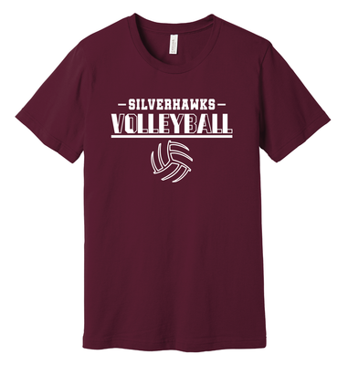 LPE - Volleyball 2024