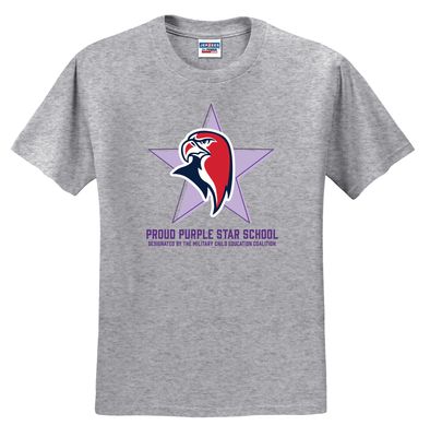 Legacy Falcons Purple Star School