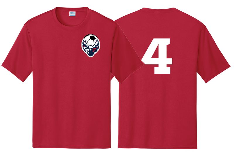 LTS Phx - Soccer Jersey Set