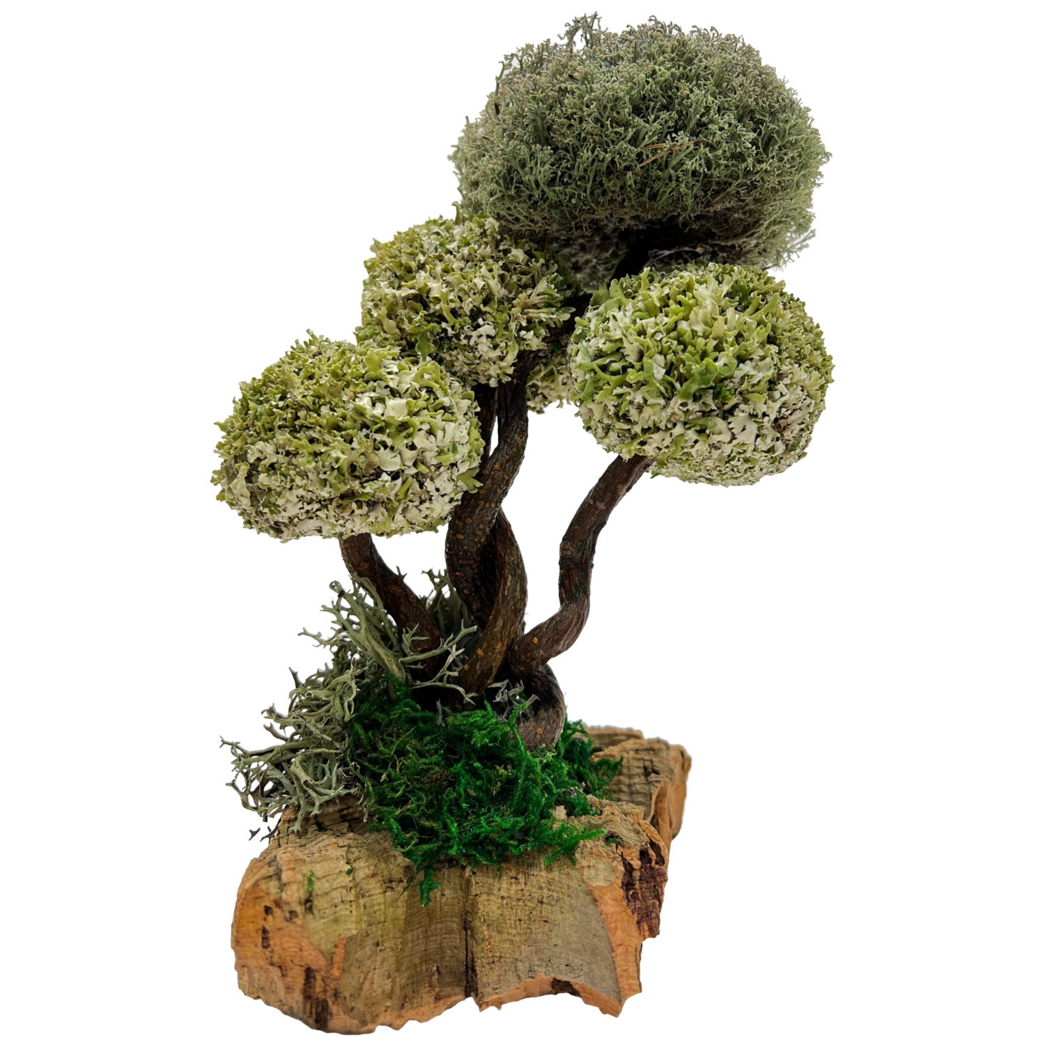 Декоративное дерево из цетрарии исландской 30 см
