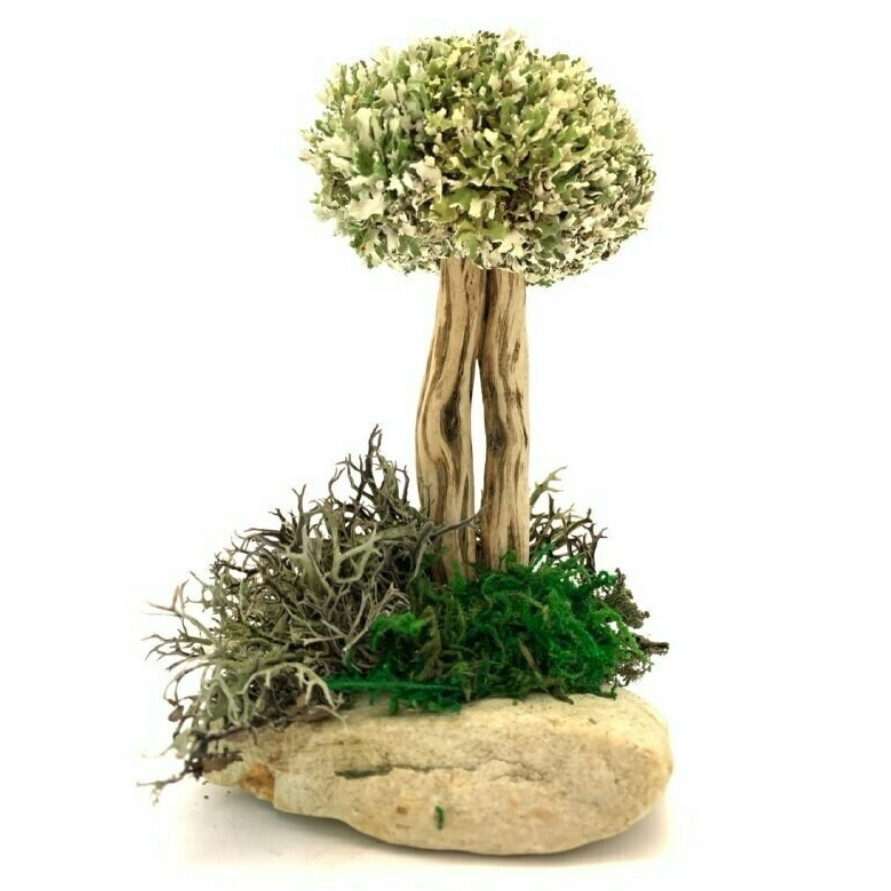 Символичное дерево из цетрарии 18 см
