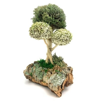 Сувенирное дерево из цетрарии 31 см