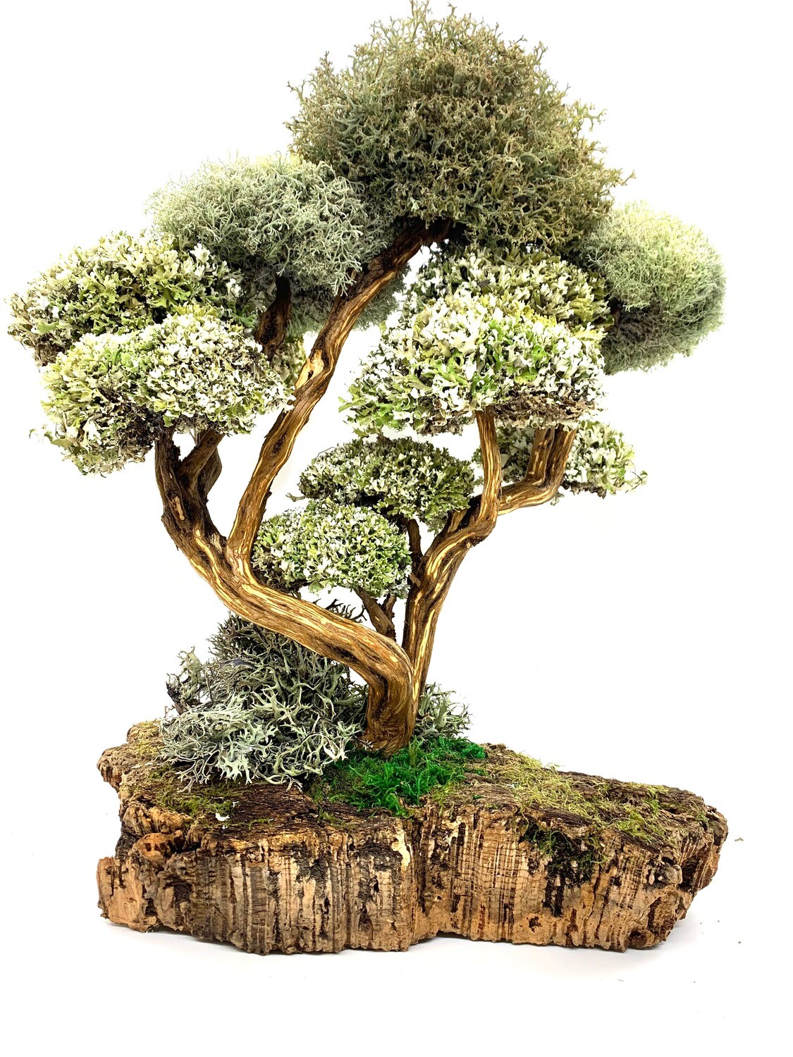 Дерево с кронами из цетрарии 40 см