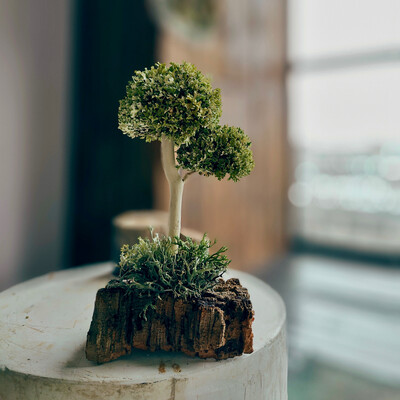 Подарочное дерево - минимализм  23 см