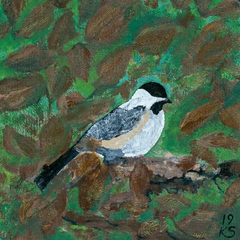 Chickadee