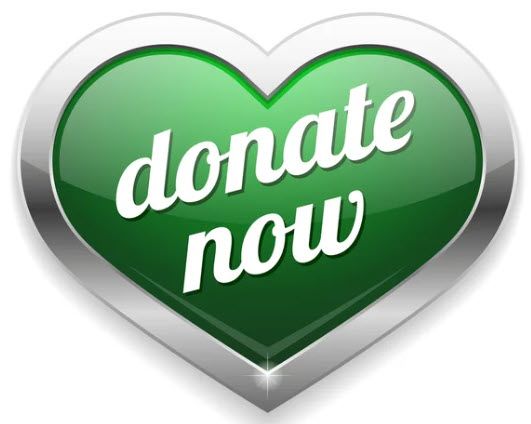 $25 Donation