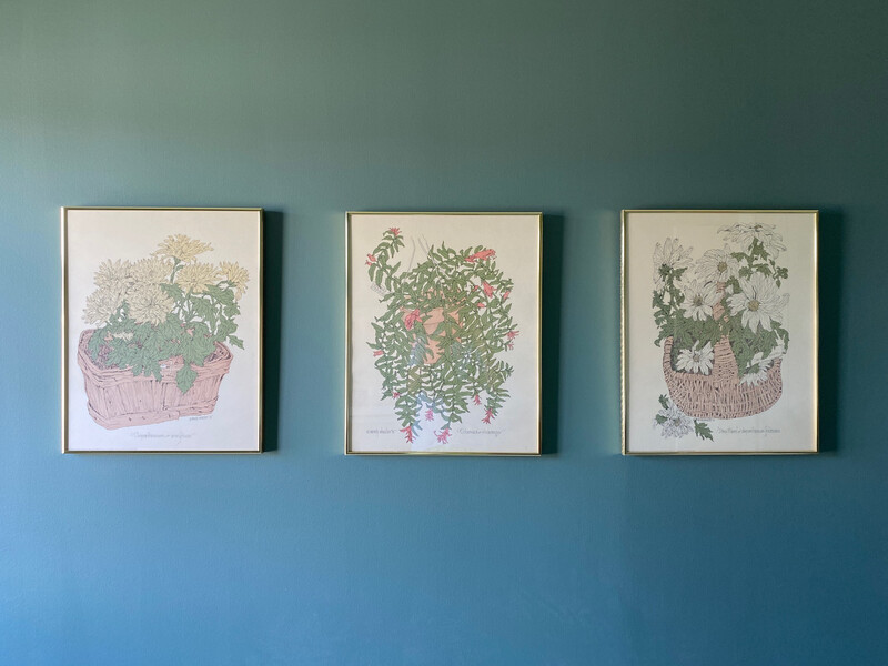 Group of 3 Framed Wendy Wheeler Plants Prints 1975