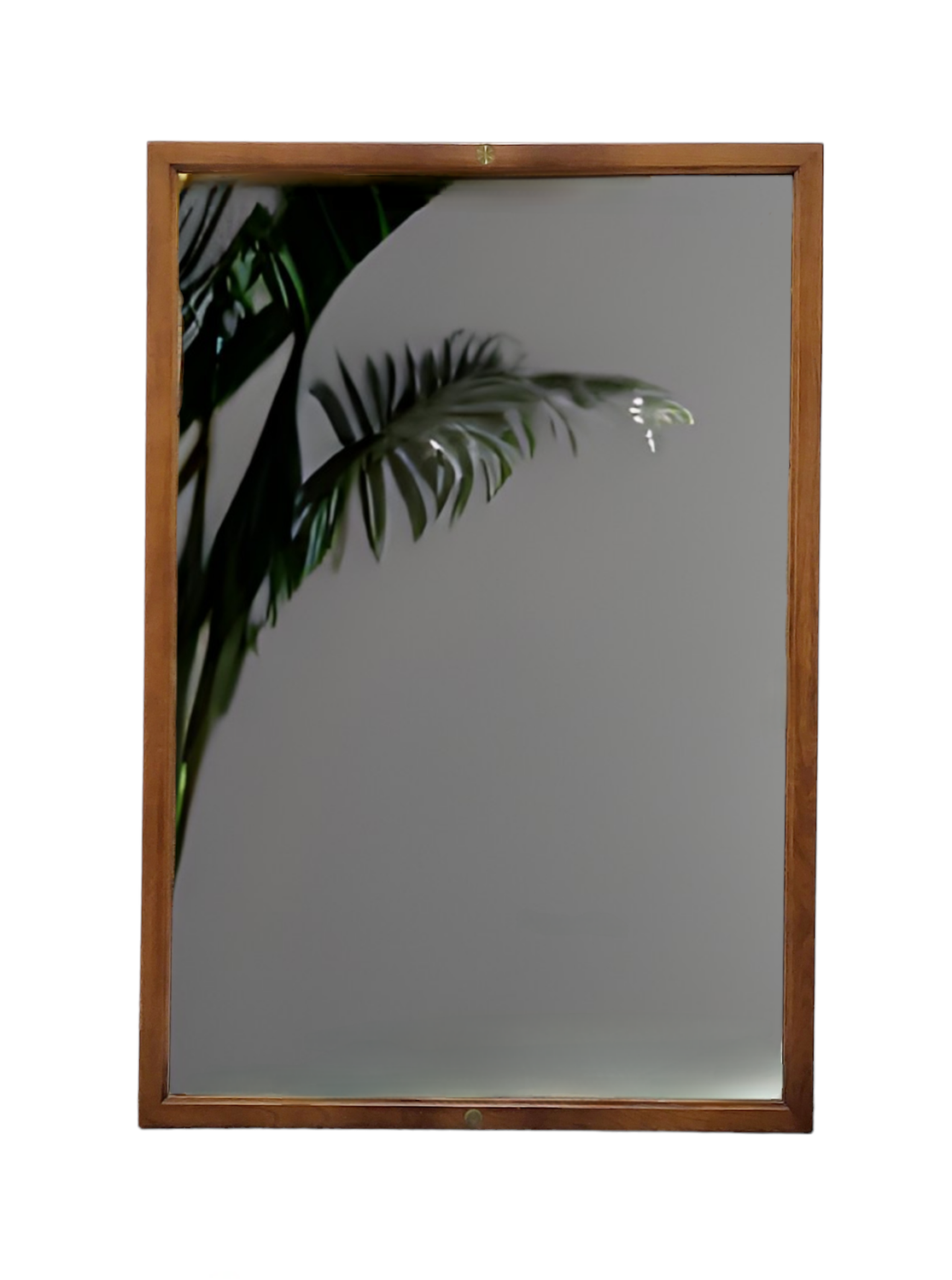 Elm Wood Framed Mirror with Brass Button Inlays