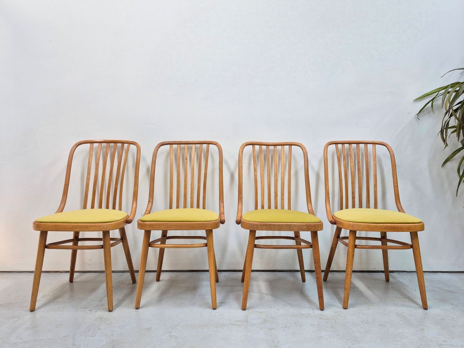 Set of 4 Mid Century Ligna Drevounia Bentwood Chairs