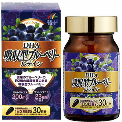Unimat Riken DHA Absorbent Blueberry Lutein Высокоусвояемый экстракт черники, лютеин и DHA 