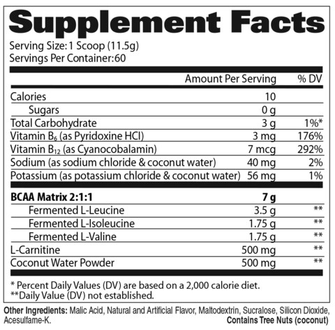 GAT Sports FLEXX BCAAs 690g