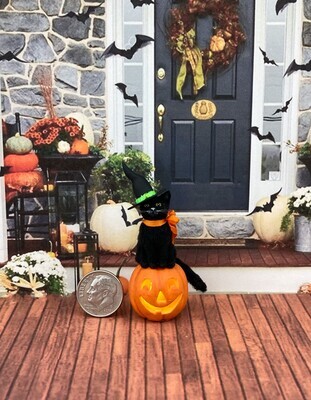 Black Cat On Illuminated Pumpkin