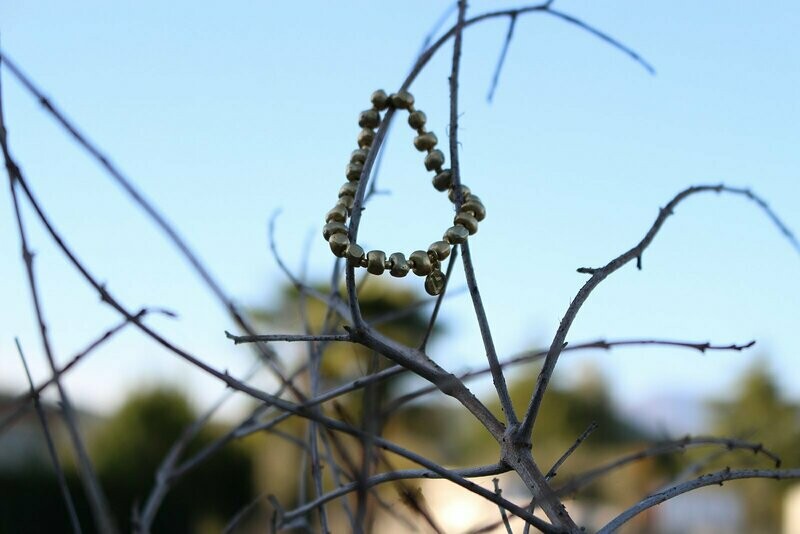 BRACCIALE PEPITE