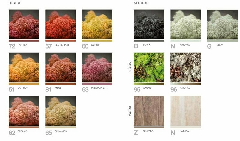 Quadro vegetale - confezione 4 pannelli cm 40x60