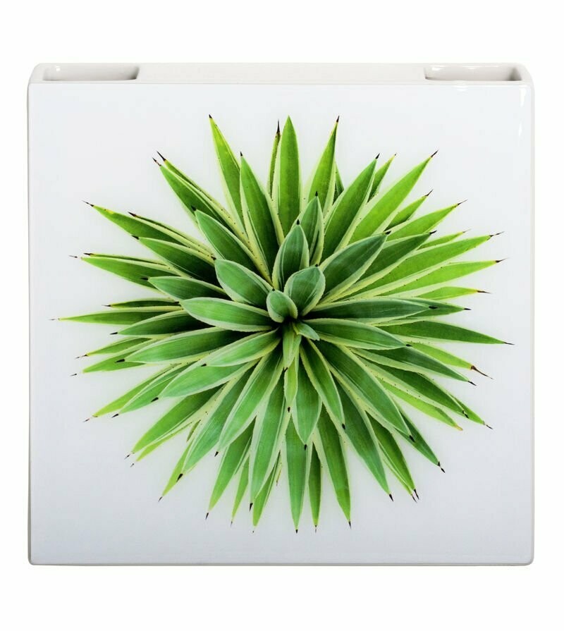 Umidificatore "HUMMI VASO AGAVE"