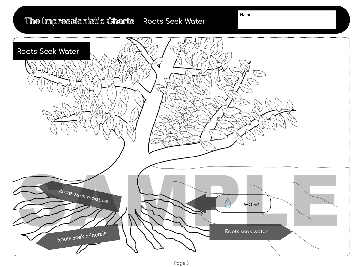 Botany The Plant Impressionistic Chart 2 Worksheet
