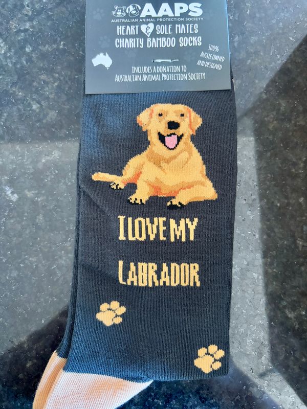 I Love my Labrador socks