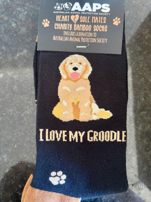 I Love my Groodle socks