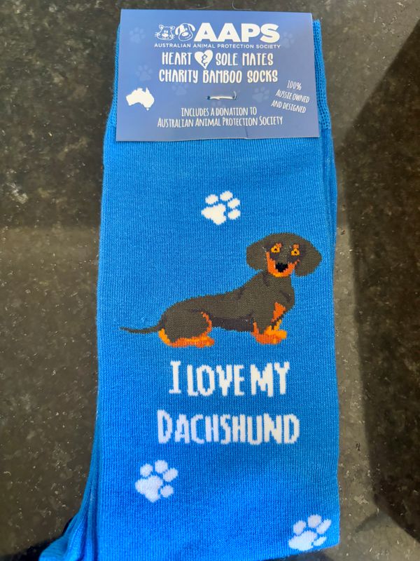 I Love my Dachshund socks