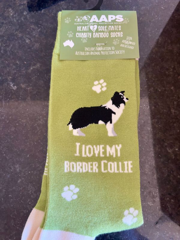 I Love my Border Collie socks