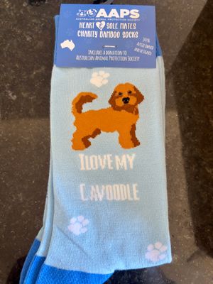I Love my Cavoodle socks