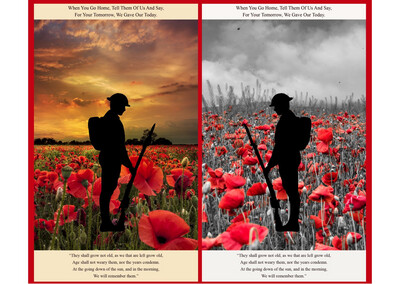 Lewis & Irene - Poppies - Panel A558 Remembrance Panel - W02.4