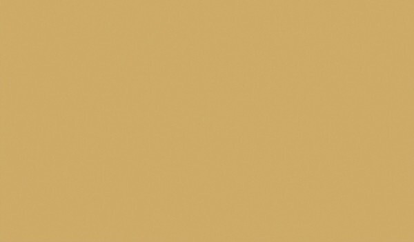 Solid - Makower Spectrum - 2000-Q03 - Beige - W02.1