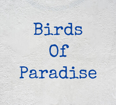 Bird of Paradise