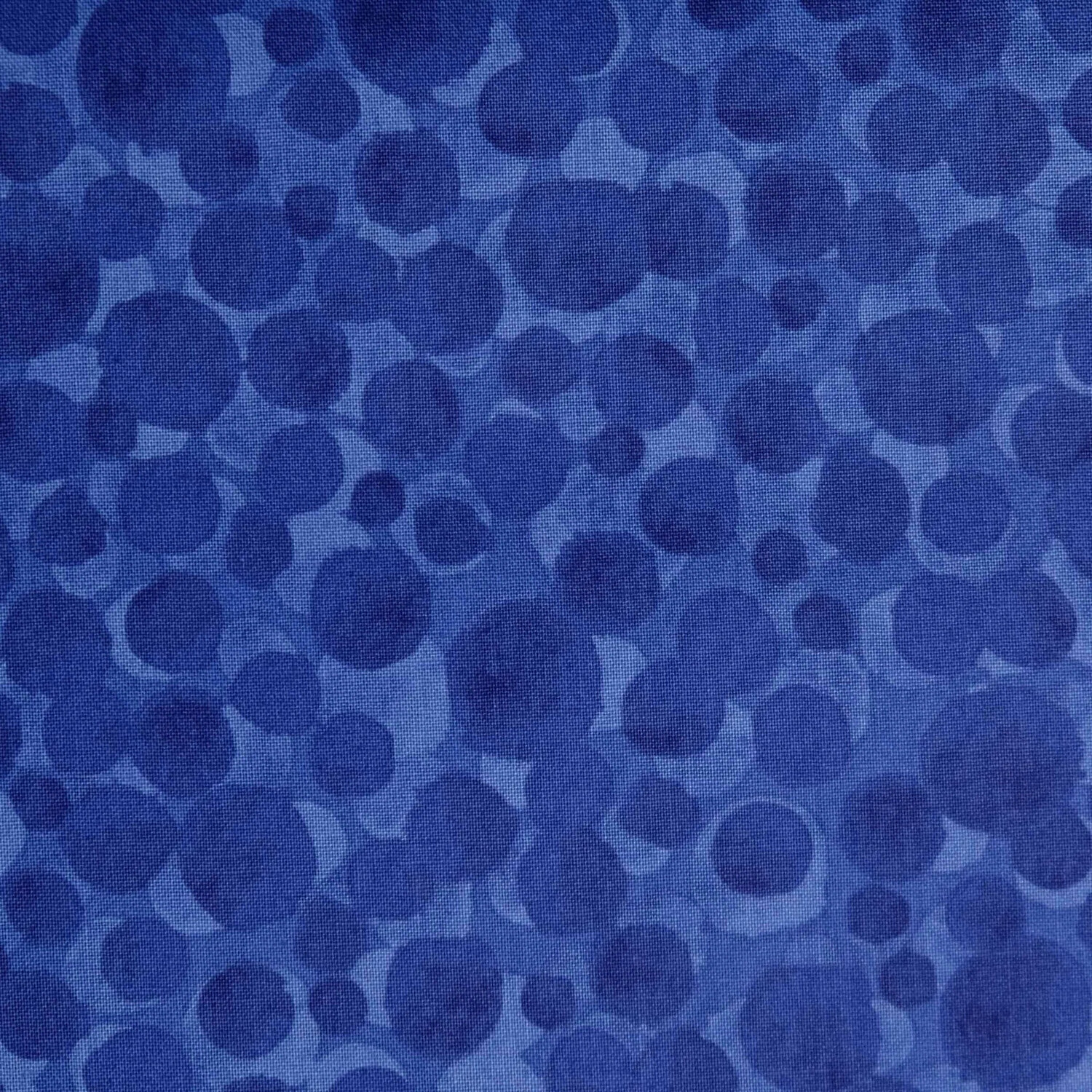 Lewis & Irene - BumbleBerries - BB277 - Rainbow Blue (Width of Fabric By 25cm) - W02.2